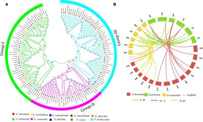 Functional Characterization of GhACX3 Gene Reveals Its Significant Role in Enhancing Drought and Salt Stress Tolerance in Cotton